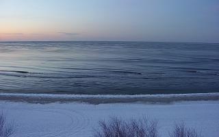 Międzywodzie - 01-02-2026 16:09