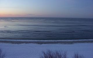 Międzywodzie - 01-02-2026 16:17