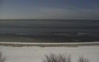 Międzywodzie - 02-02-2026 03:31