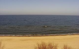 Międzywodzie - 17-03-2026 10:02