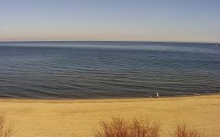 Międzywodzie - 21-03-2026 08:44