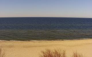 Międzywodzie - 21-03-2026 13:32