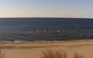 Międzywodzie - 21-03-2026 15:56