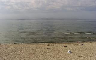 Międzywodzie - 26-05-2026 15:29