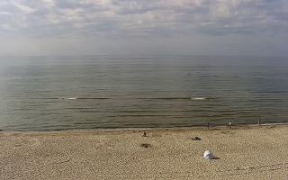 Międzywodzie - 26-05-2026 15:37