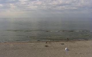 Międzywodzie - 26-05-2026 15:44