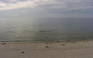 Międzywodzie - 26-05-2026 16:07