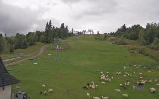 Witów ski dolna stacja - 16-09-2025 09:04
