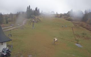 Witów ski dolna stacja - 03-11-2025 10:25