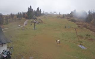 Witów ski dolna stacja - 03-11-2025 10:33