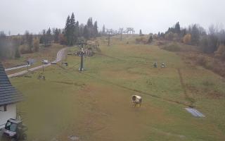 Witów ski dolna stacja - 03-11-2025 10:47