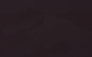 Witów ski dolna stacja - 16-03-2026 03:43