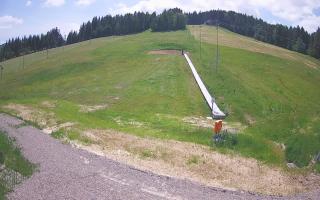 Tylicz-ski orczyk - 17-06-2025 11:24