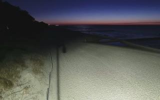 Dźwirzyno plaża stała - 21-03-2026 18:32