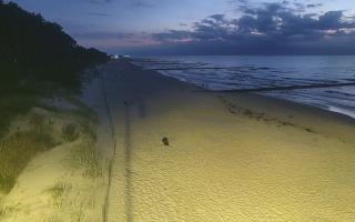 Dźwirzyno plaża stała - 28-07-2026 20:23