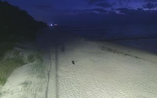 Dźwirzyno plaża stała - 28-07-2026 20:47