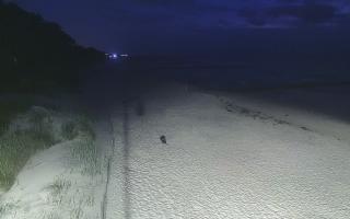 Dźwirzyno plaża stała - 28-07-2026 20:55