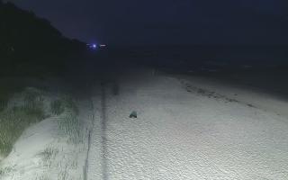 Dźwirzyno plaża stała - 28-07-2026 22:00