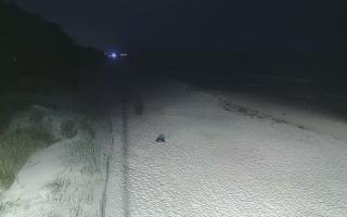 Dźwirzyno plaża stała - 28-07-2026 23:20