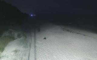 Dźwirzyno plaża stała - 28-07-2026 23:36