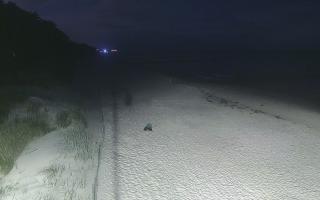 Dźwirzyno plaża stała - 29-07-2026 00:00