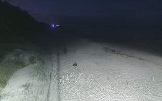 Dźwirzyno plaża stała - 29-07-2026 00:08