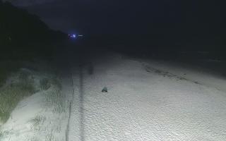 Dźwirzyno plaża stała - 29-07-2026 00:56