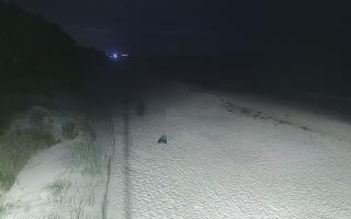 Dźwirzyno plaża stała - 29-07-2026 01:04