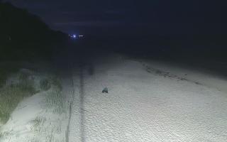 Dźwirzyno plaża stała - 29-07-2026 01:20