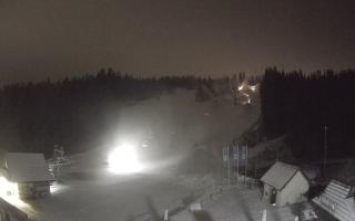 Suche ski dolna stacja - 03-12-2024 16:41