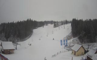 Suche ski dolna stacja - 04-12-2024 07:34