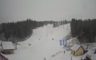 Suche ski dolna stacja - 04-12-2024 07:41