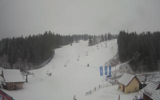 Suche ski dolna stacja - 04-12-2024 07:49