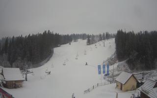 Suche ski dolna stacja - 04-12-2024 07:56