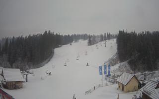 Suche ski dolna stacja - 04-12-2024 08:03