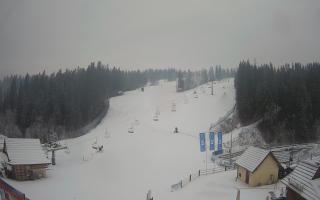 Suche ski dolna stacja - 04-12-2024 08:10