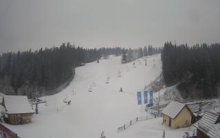 Suche ski dolna stacja - 04-12-2024 08:17