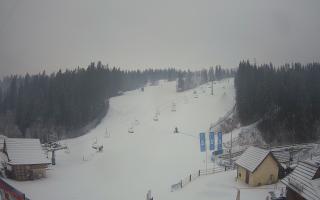 Suche ski dolna stacja - 04-12-2024 08:24