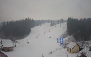 Suche ski dolna stacja - 04-12-2024 08:38