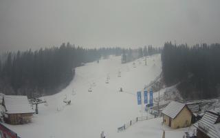 Suche ski dolna stacja - 04-12-2024 08:59