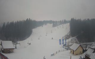 Suche ski dolna stacja - 04-12-2024 09:06