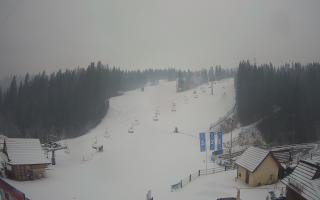 Suche ski dolna stacja - 04-12-2024 09:13