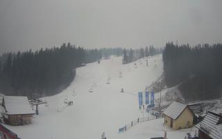 Suche ski dolna stacja - 04-12-2024 09:27