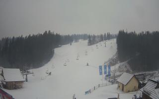 Suche ski dolna stacja - 04-12-2024 09:34