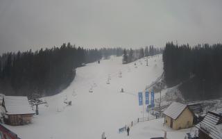 Suche ski dolna stacja - 04-12-2024 09:41