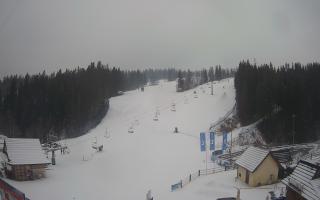 Suche ski dolna stacja - 04-12-2024 09:48