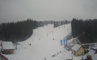 Suche ski dolna stacja - 04-12-2024 09:55