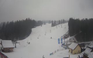 Suche ski dolna stacja - 04-12-2024 10:09