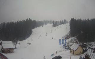 Suche ski dolna stacja - 04-12-2024 10:16