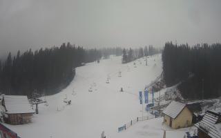 Suche ski dolna stacja - 04-12-2024 10:23